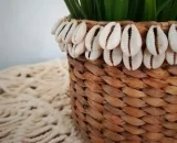 Zayden Pot With Shells